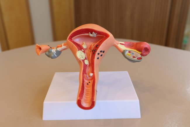 Utero